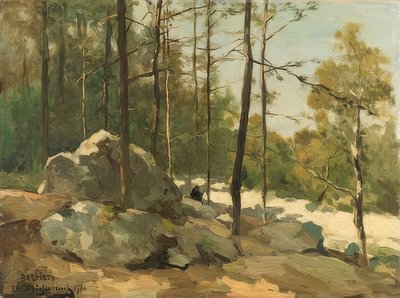 Radura vicino a Barbizon da Jan Hendrik Weissenbruch