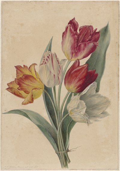 Bouquet di tulipani da Jan Jacob Goteling Vinnis