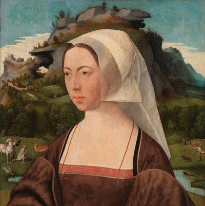 Ritratto di una donna sconosciuta da Jan Jansz Mostaert