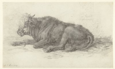 Mucca sdraiata da Jan Joost van Cossiau