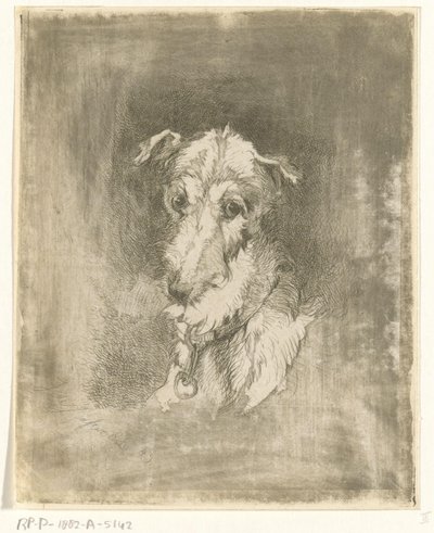 Testa di levriero da Jan Karel Jacob de Jonge