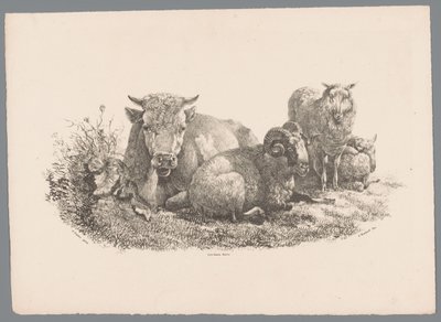 Mucca, ariete e due pecore (serie Studi di animali di J. Kobell da Paul Potter Nr. 1) da Jan Kobell (III)
