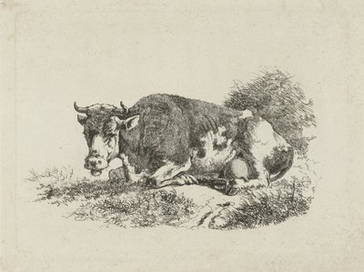 Mucca sdraiata da Jan Kobell (III)