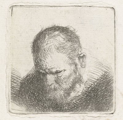 Uomo con barba da Jan Lievens (possibly)