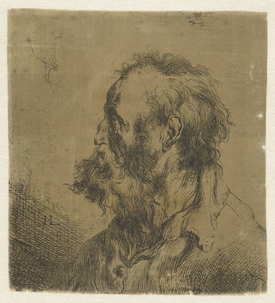 Busto di un vecchio con barba da Jan Lievens