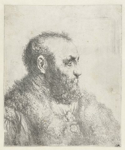 Busto di un vecchio con cappotto di pelliccia da Jan Lievens