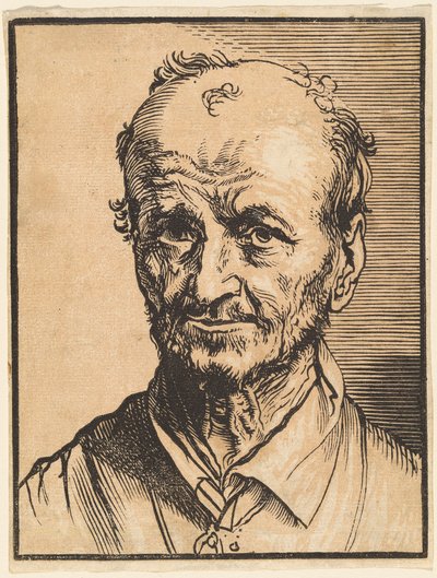 Busto di un uomo calvo da Jan Lievens