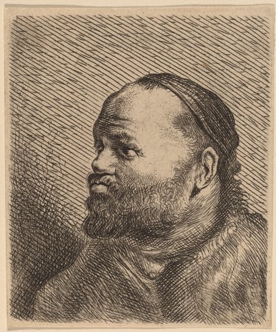 Busto di un uomo con labbra spesse da Jan Lievens