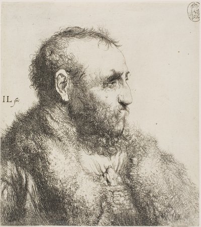 Busto di un vecchio da Jan Lievens