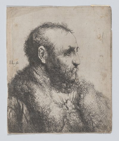 Busto di un vecchio con colletto di pelliccia da Jan Lievens