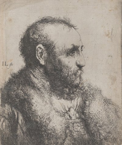 Busto di un vecchio con colletto di pelliccia da Jan Lievens