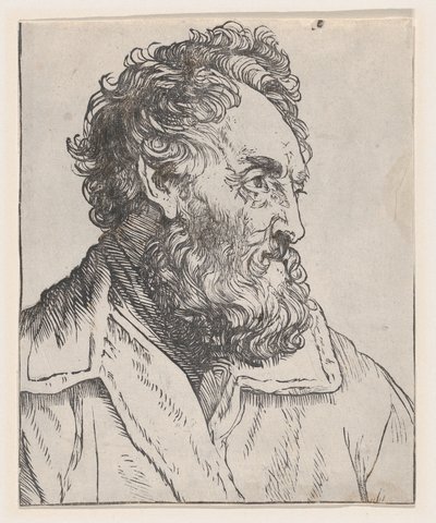 Testa di un uomo, XVII secolo da Jan Lievens