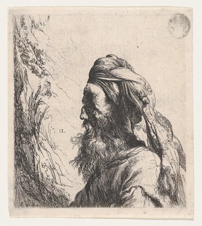 Uomo con turbante rivolto a sinistra da Jan Lievens