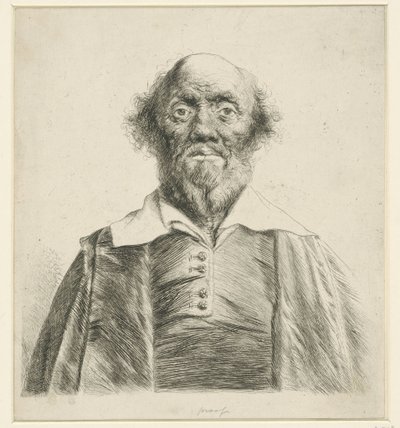 Ritratto di un vecchio da Jan Lievens