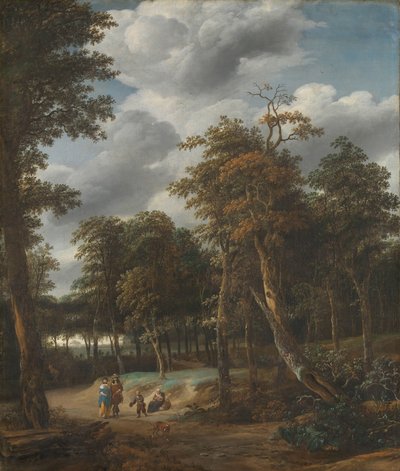Strada forestale da Jan Looten