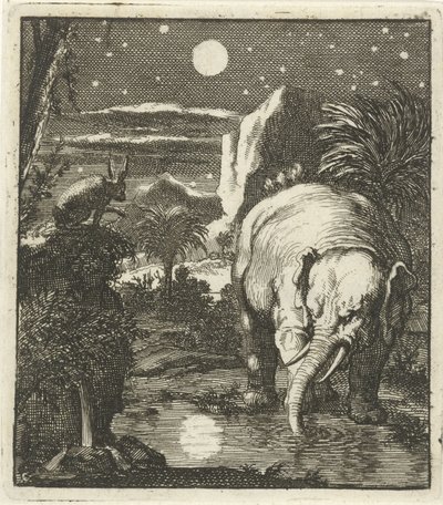 Lepre ed elefante con luna piena presso una sorgente da Jan Luyken