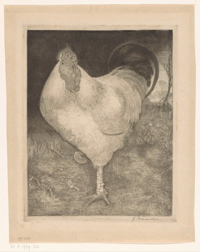Gallo su una zampa da Jan Mankes (signed by artist)