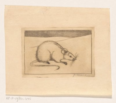 Topo da Jan Mankes (signed by artist)