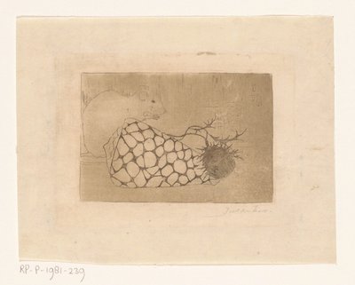 Topo, conchiglia e cardo da Jan Mankes (signed by artist)