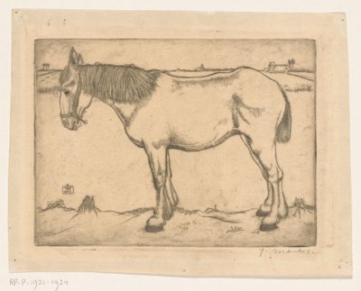 Cavallo da Jan Mankes (signed by artist)