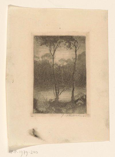 Due alberi sull