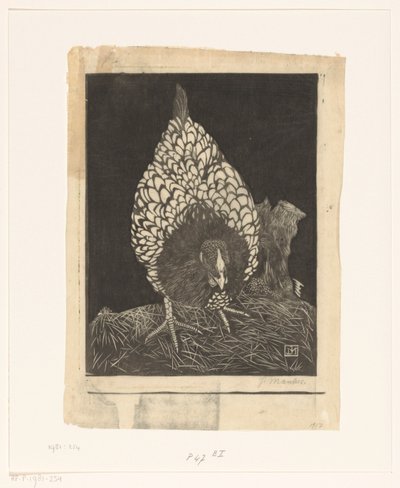 Zilverwyandotte da Jan Mankes (signed by artist)