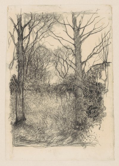 Bosrand da Jan Mankes
