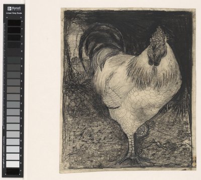 Gallo su una zampa da Jan Mankes