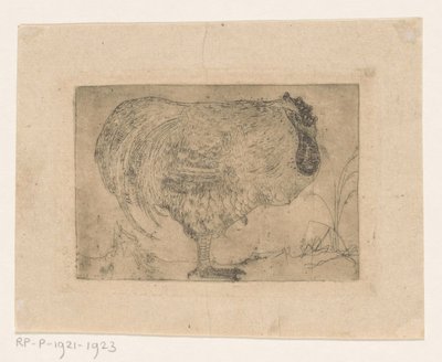 Gallo rannicchiato da Jan Mankes