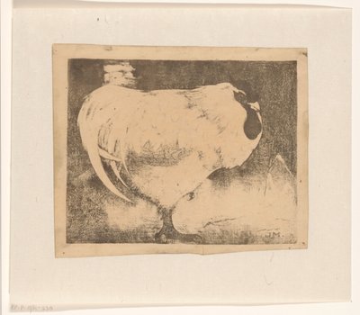Gallo rannicchiato da Jan Mankes