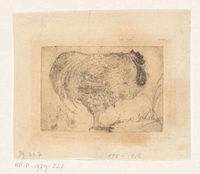 Gallo rannicchiato da Jan Mankes