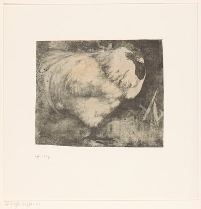 Gallo rannicchiato da Jan Mankes