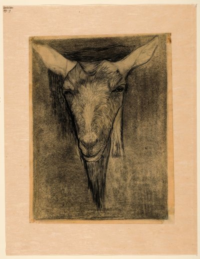 Testa di una capra da Jan Mankes