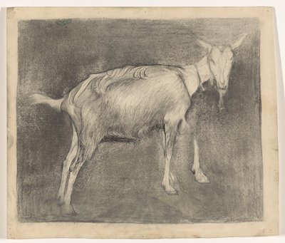 Capra in piedi da Jan Mankes