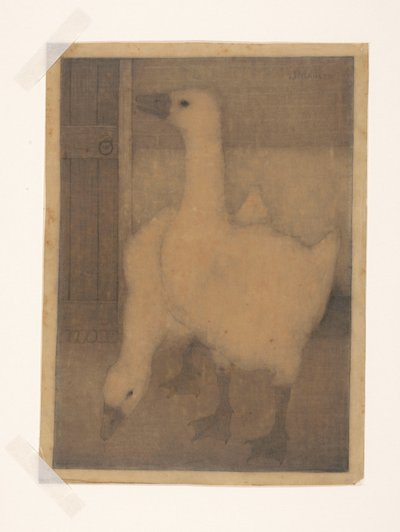 Due oche da Jan Mankes