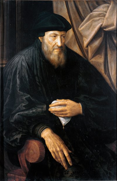 Ritratto di un vecchio (probabilmente Andrea Doria). Dipinto di Jan Metsys (o Massys) (1509-1575), circa 1552. Genova, Musei di Strada Nuova (ex Palazzo Bianco) da Jan Massys or Metsys