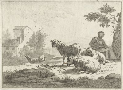 Pastorella con gregge di pecore da Jan Matthias Cok