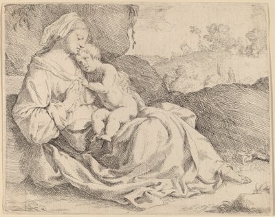 La Vergine e il Bambino su una sponda erbosa da Jan Miel