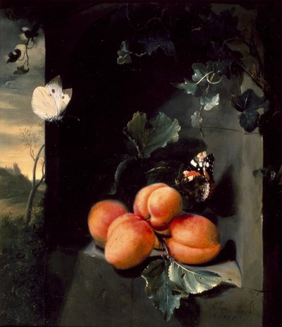 Natura Morta con Albicocche e Farfalle, 1683 da Jan Mortel