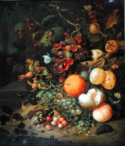 Natura morta con frutta da Jan Mortel