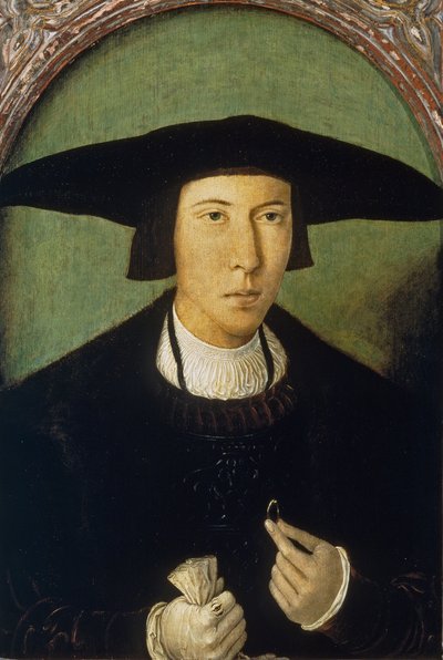 Ritratto di giovane uomo da Jan Mostaert