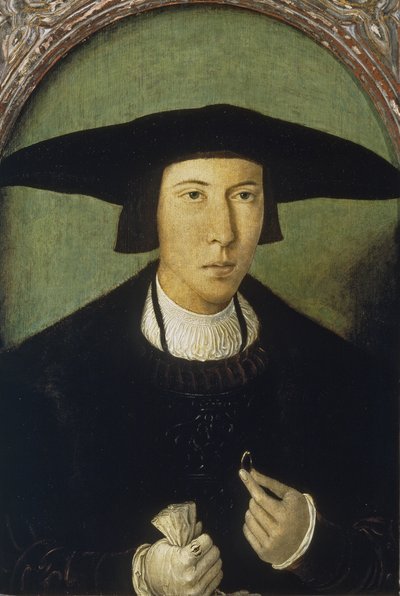 Ritratto di un giovane uomo da Jan Mostaert
