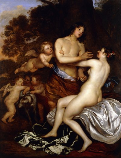 Venere e Adone da Jan Mytens