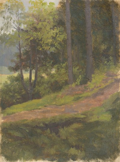 Sentiero al margine della foresta da Jan Nowopacký