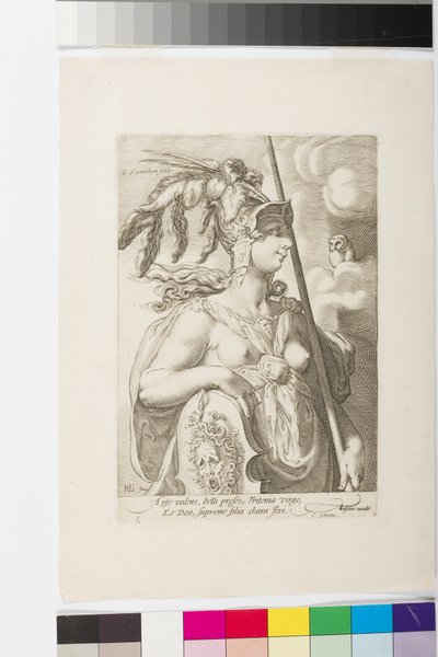 Minerva da Jan Saenredam