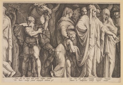 La punizione di Niobe (Piastra 6) da Jan Saenredam