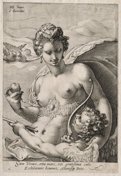 Venere e Cupido, c. 1595 da Jan Saenredam