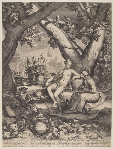 Vertumnus e Pomona da Jan Saenredam