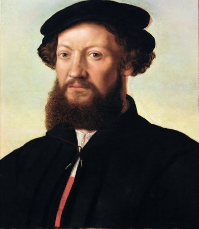 Ritratto di un uomo da Jan Sanders van Hemessen