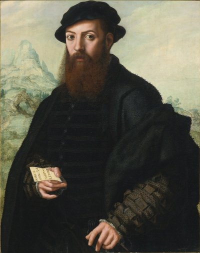 Ritratto di un uomo barbuto, di 34 anni, davanti a un ampio paesaggio da Jan Sanders van Hemessen